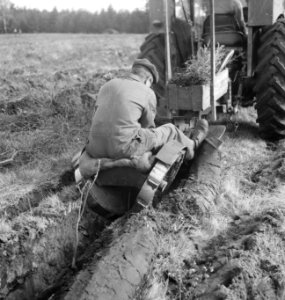 Grondbewerking, machines, werktuigen, arbeiders, bosbouw, Bestanddeelnr 251-9711