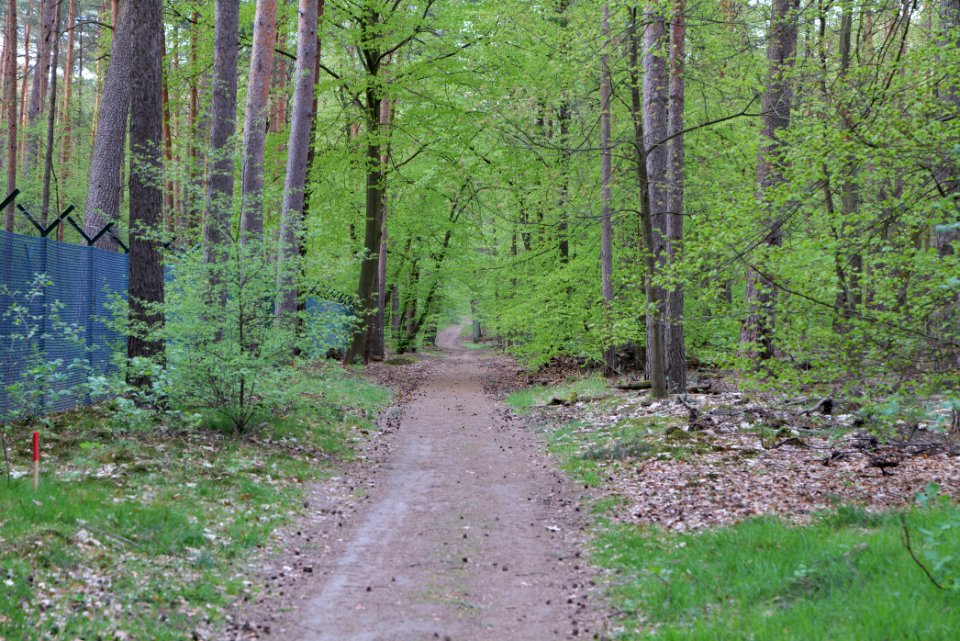 Grunewald 2021-05-10 71