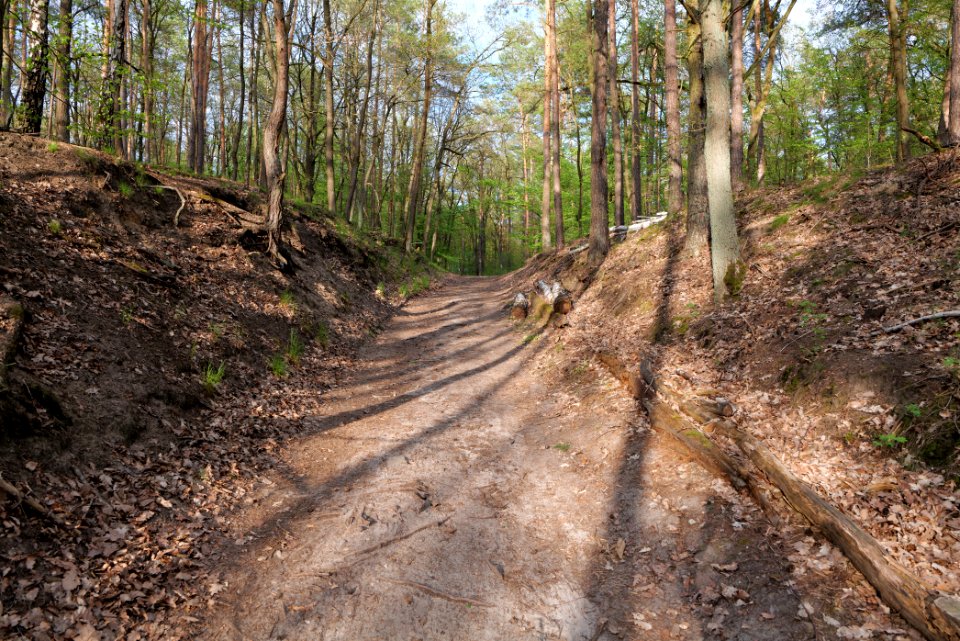 Grunewald 2021-05-10 56