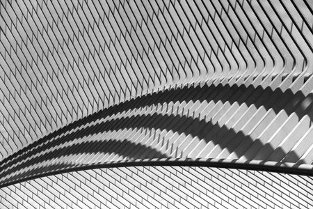 Train station cork-guillemins calatrava photo
