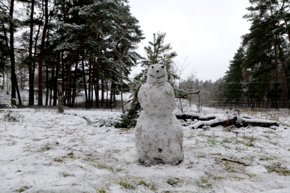 Grunewald with snow 2021-01-03 18