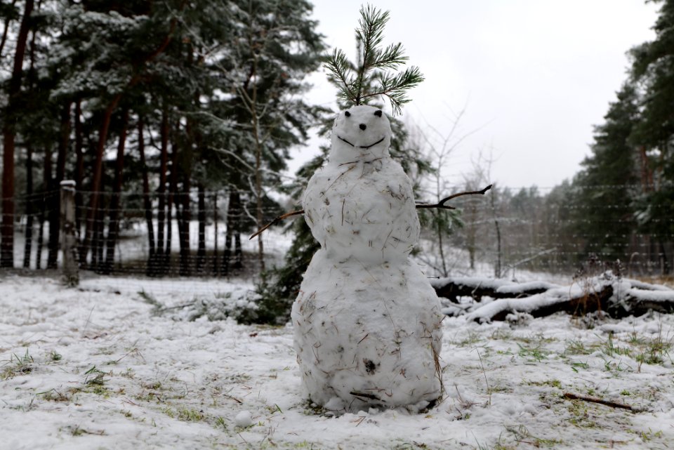 Grunewald with snow 2021-01-03 20