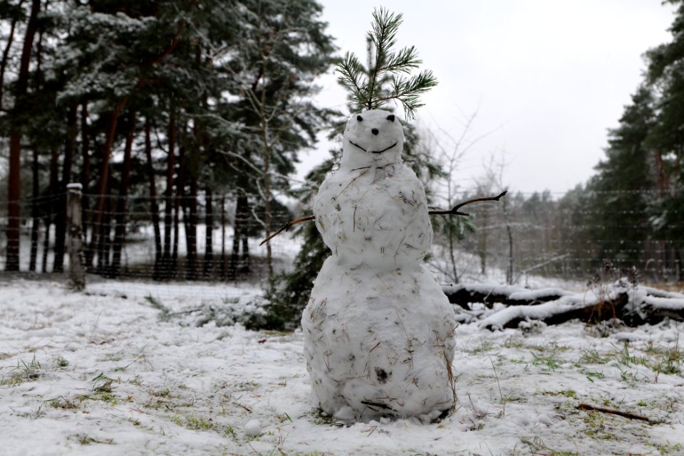 Grunewald with snow 2021-01-03 22