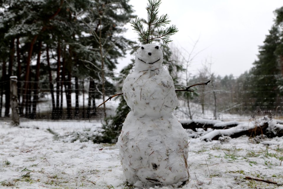 Grunewald with snow 2021-01-03 19