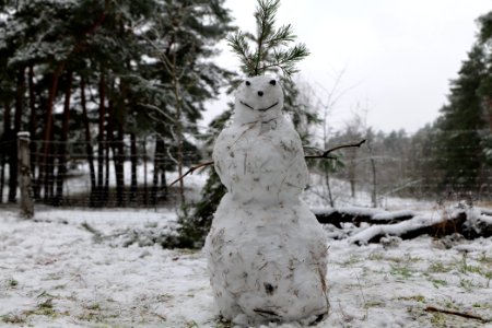 Grunewald with snow 2021-01-03 19