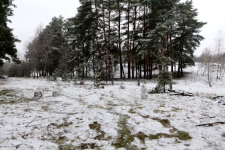 Grunewald with snow 2021-01-03 16