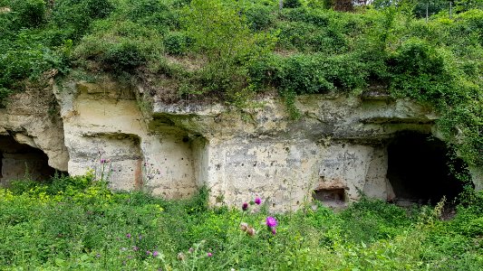 Gronsveld-Riesenberggroeve (west) (7)