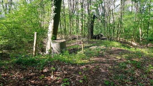 Gronsveld-Riesenberggroeve (luchtschacht) (5)