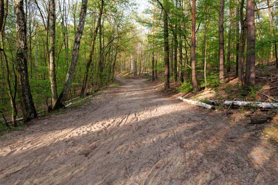 Grunewald 2021-05-10 54