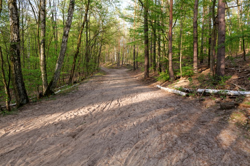 Grunewald 2021-05-10 53