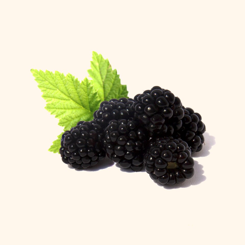 Blackberry fruit health