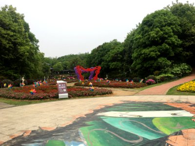 Guangming Butterfly Valley, picture6