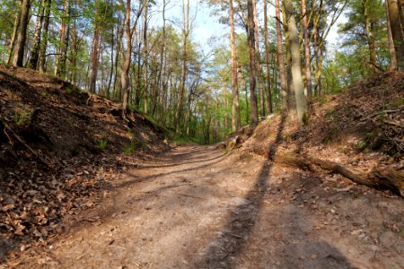Grunewald 2021-05-10 55