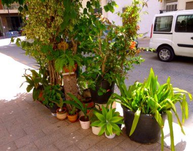 Guardamar del Segura 11