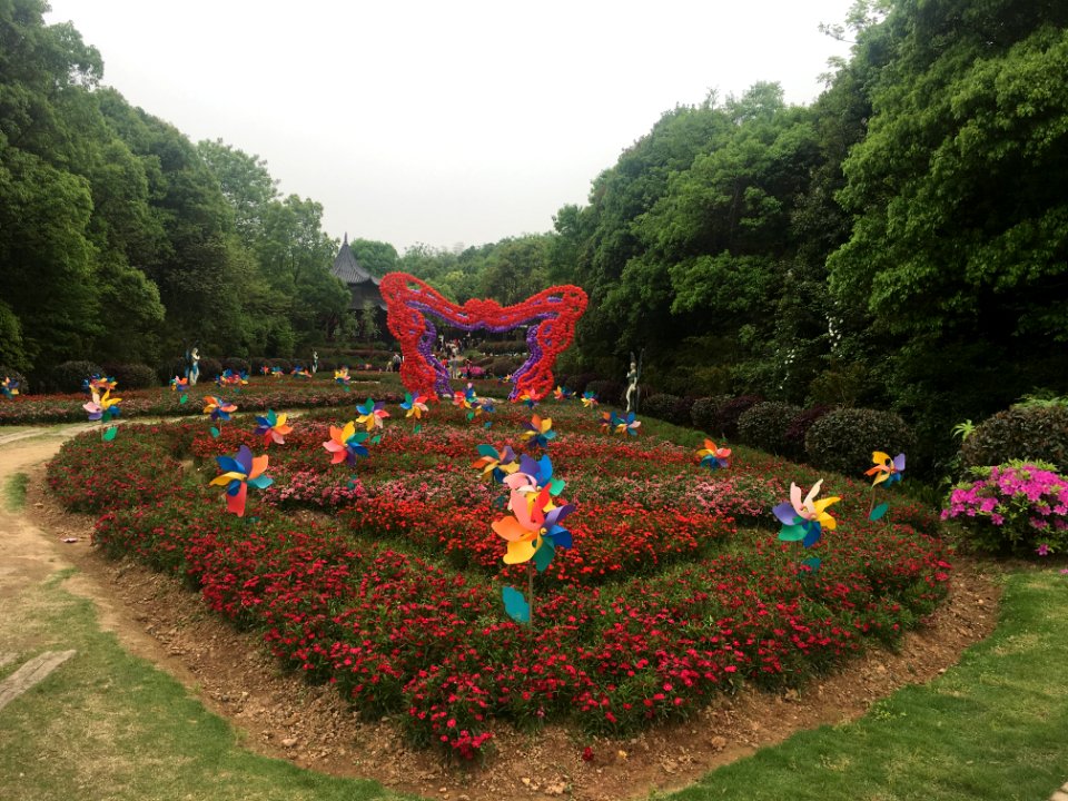 Guangming Butterfly Valley, picture1