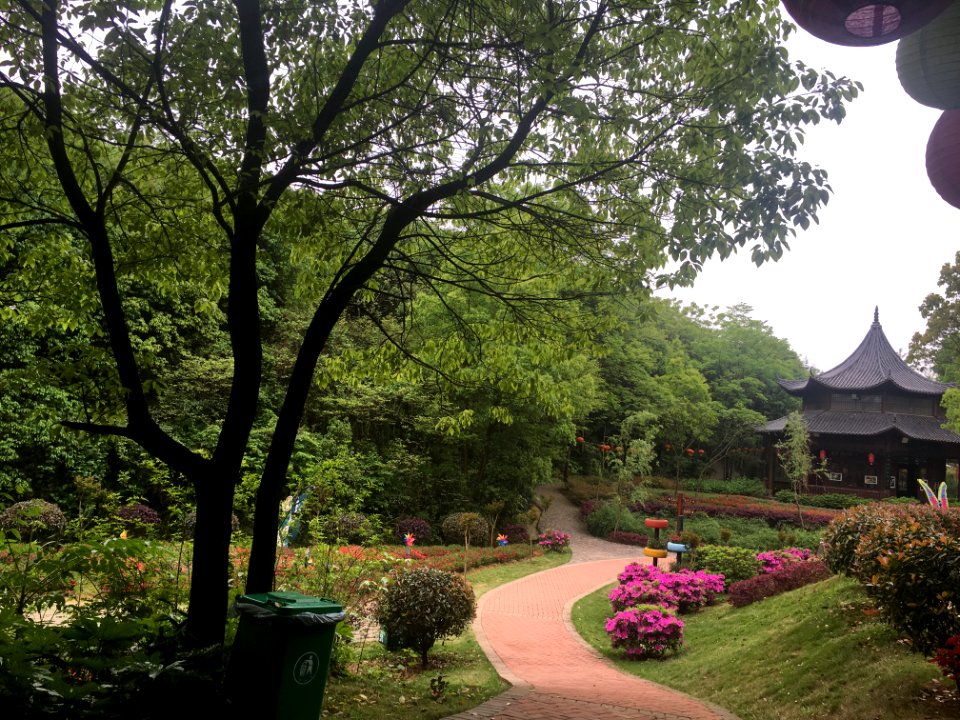 Guangming Butterfly Valley, picture8