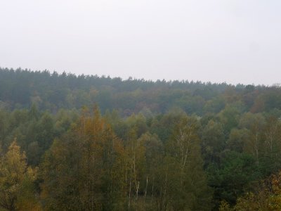 Grunewald 2019-10-24