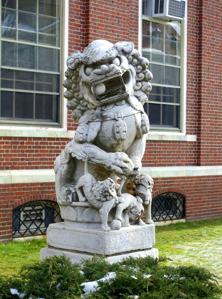 Guardian lion, 2 of 2 - Harvard-Yenching Institute, Harvard University - DSC02608