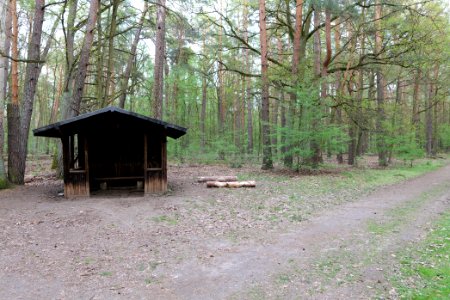 Grunewald 2021-05-10 74