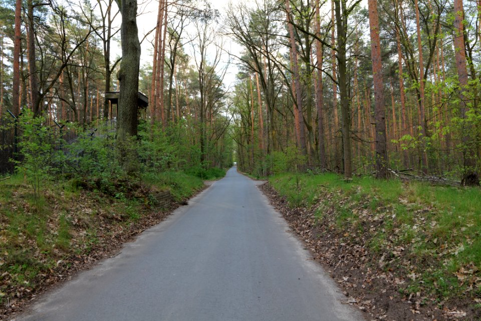 Grunewald 2021-05-10 68