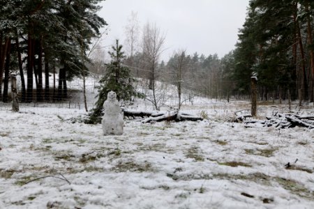Grunewald with snow 2021-01-03 29