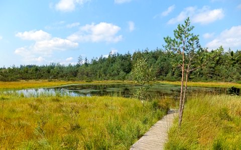 Grundloser See