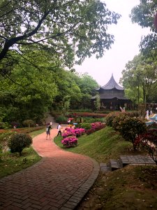 Guangming Butterfly Valley, picture2