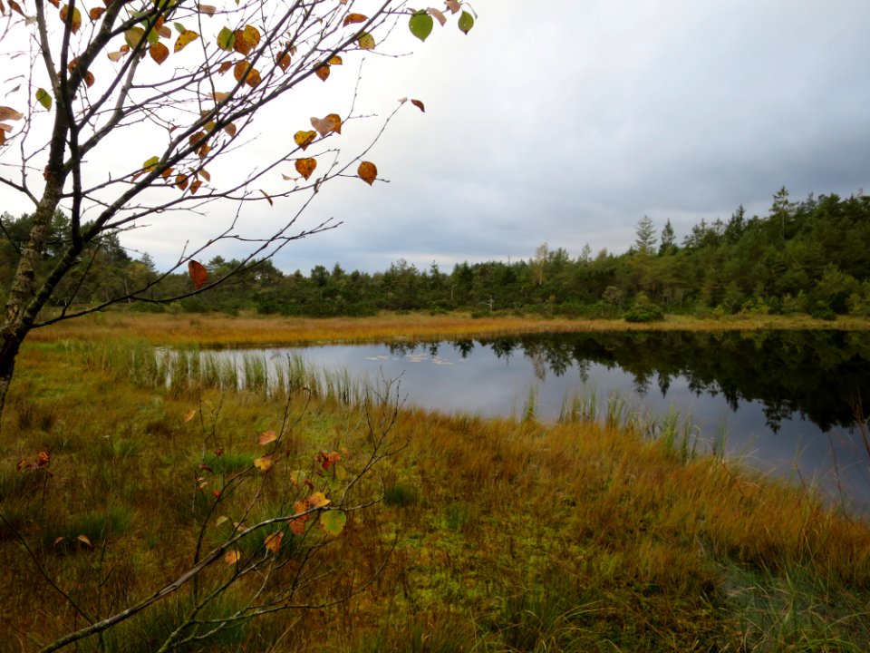 Grundloser See 1