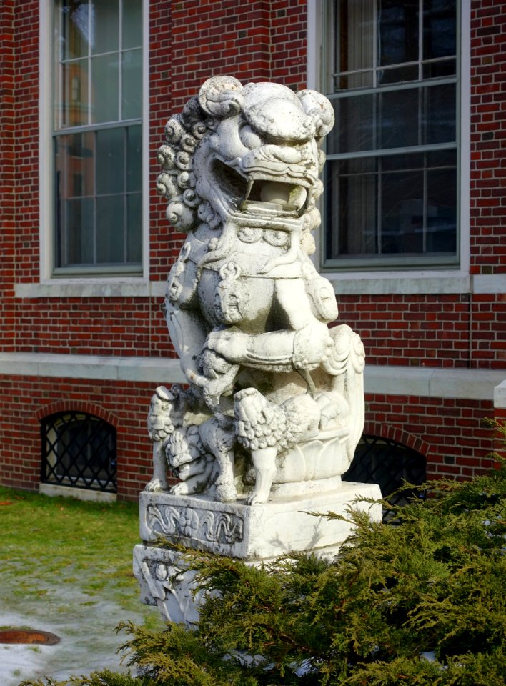 Guardian lion, 1 of 2 - Harvard-Yenching Institute, Harvard University - DSC02605
