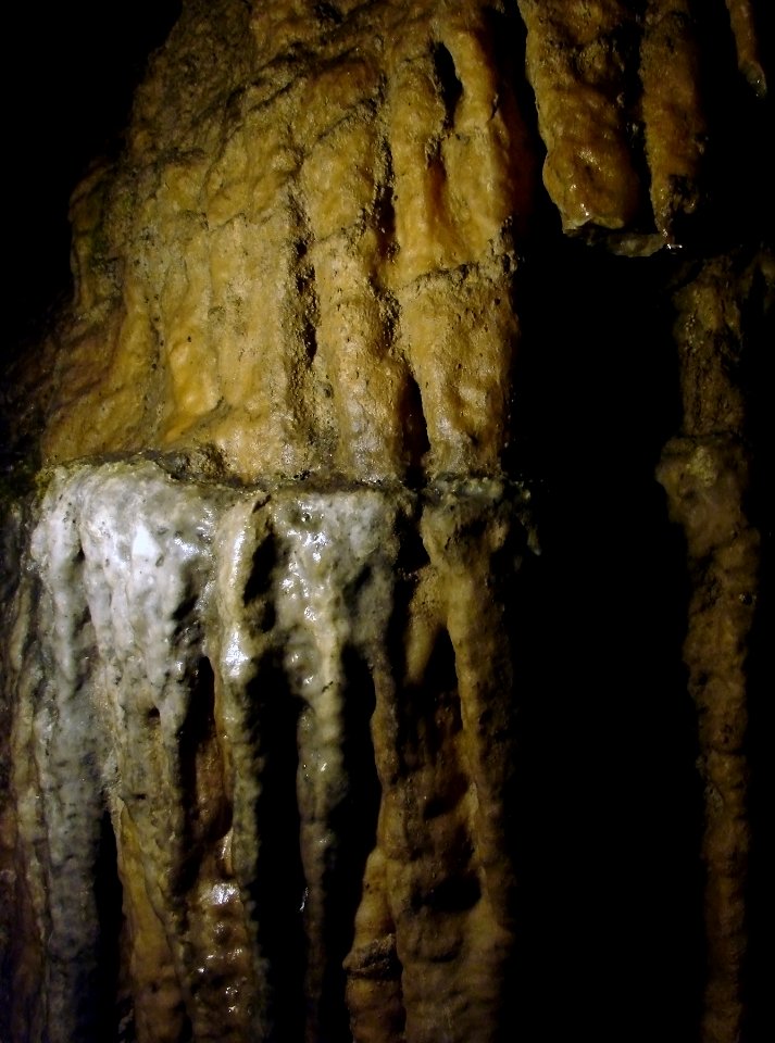 Grotte de Han 29 07 2009 01