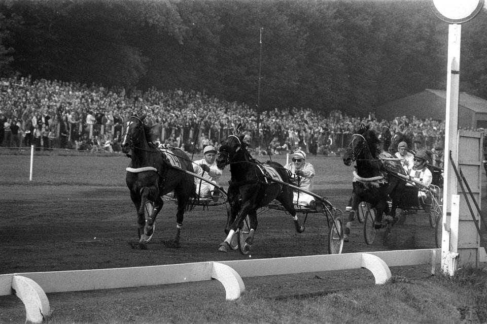 Grote Prijs der Lage Landen. Renpaard Fideel met jockey George Desoete (m) gaat , Bestanddeelnr 925-6927