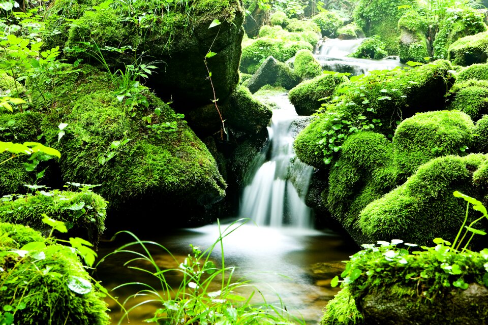 Nature landscape summer
