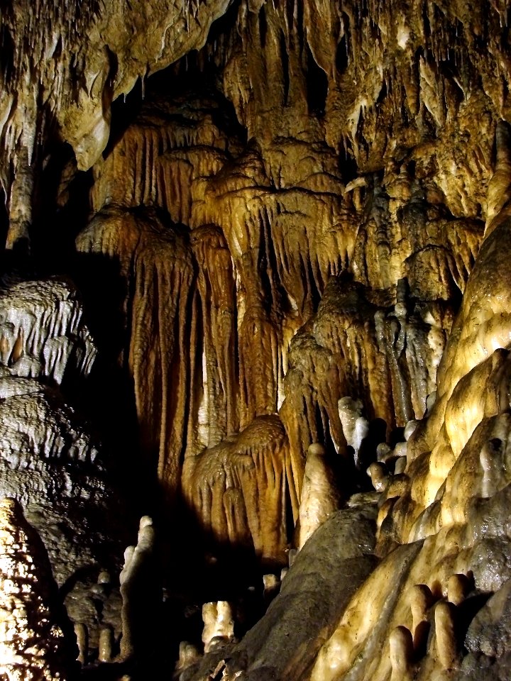 Grotte de Han 29 07 2009 08