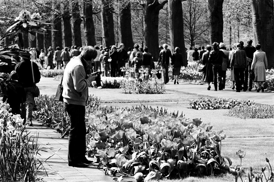 Grote Paasdrukte in de keukenhof in Lisse, Bestanddeelnr 931-4399