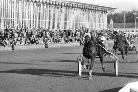 Grote prijs stayers Hilversum winnaar Kees Verkerk gereden door Van Eykelenborg, Bestanddeelnr 929-0149