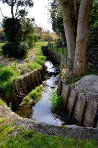 Grotevijversbeek