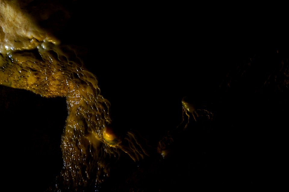 Grotte des Grandes Canalettes 01082014 07