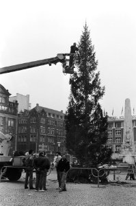 Grote kerstboom weer op de Dam, Bestanddeelnr 933-1769