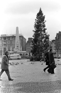 Grote kerstboom staat weer op Dam, Bestanddeelnr 926-0822