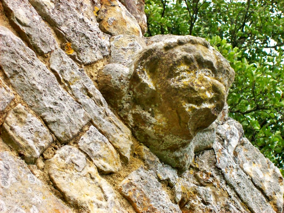 Grotesque head, Bayham Abbey