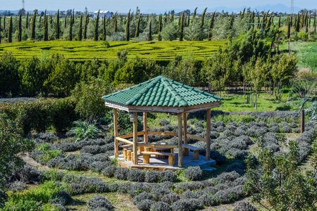 Botanical gardens and maze attraction kiosk