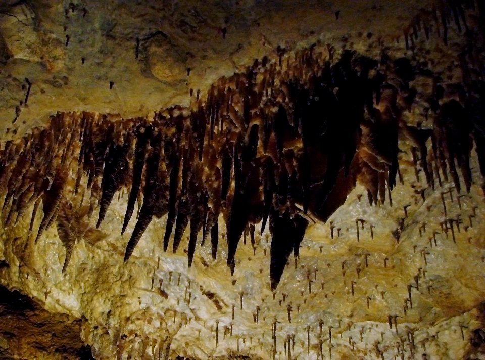 Grotte de Han 29 07 2009 03