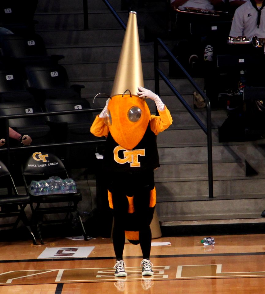 GT vs NC A&T basketball Dec 2016 - Buzz wearing cone