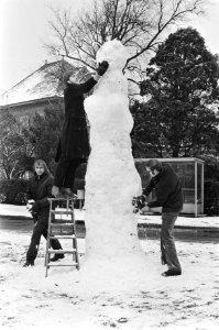 Grote sneeuwpop, Bestanddeelnr 929-5689