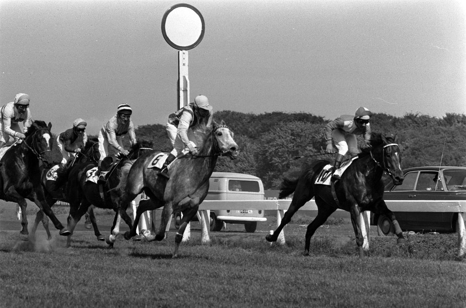 Grote Prijs van Den Haag op Duindigt nr 10 (1e van rechts) Darius Honey werd t, Bestanddeelnr 927-2133