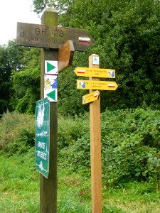 Guînes (Pas-de-Calais) forêt de Guines balisages, via francigenia