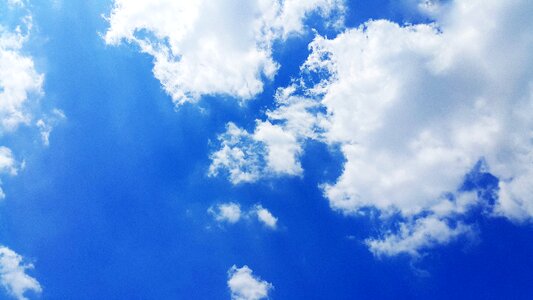 Summer sunshine nature