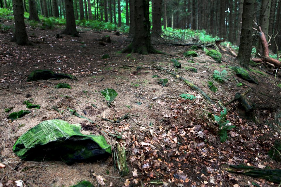 Grotenburg Wallreste 01
