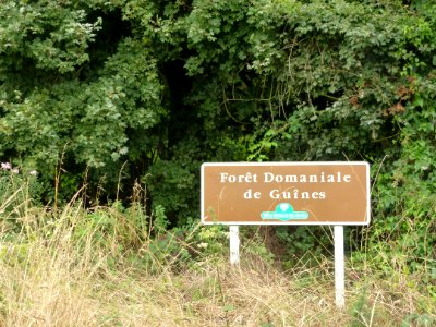 Guînes (Pas-de-Calais) forêt domaniale de Guînes