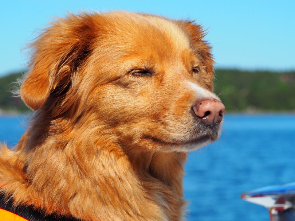 Summer water sleeping